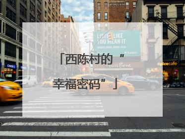 西陈村的“幸福密码”