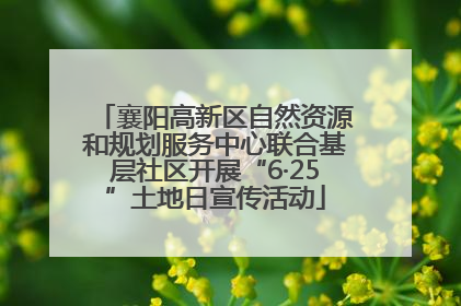 襄阳高新区自然资源和规划服务中心联合基层社区开展“6·25”土地日宣传活动
