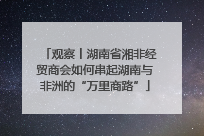 观察丨湖南省湘非经贸商会如何串起湖南与非洲的“万里商路”