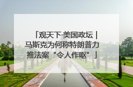 观天下·美国政坛｜马斯克为何称特朗普力推法案“令人作呕”