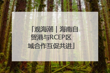 观海潮｜海南自贸港与RCEP区域合作互促共进
