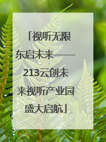视听无限 东启未来——213云创未来视听产业园盛大启航