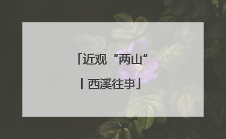 近观“两山”丨西溪往事