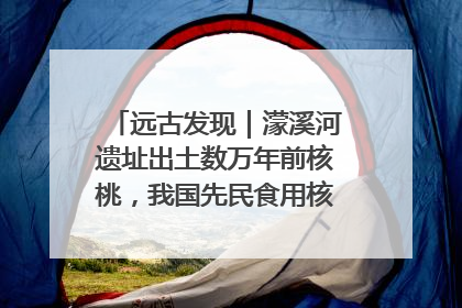 远古发现｜濛溪河遗址出土数万年前核桃，我国先民食用核桃历史大幅提前
