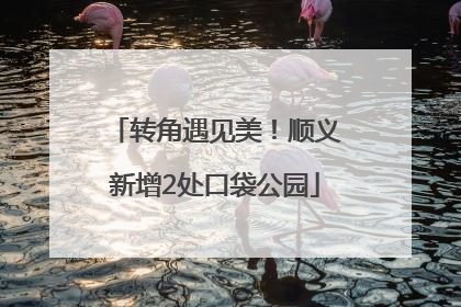 转角遇见美！顺义新增2处口袋公园
