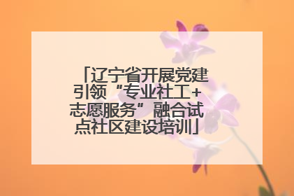 辽宁省开展党建引领“专业社工+志愿服务”融合试点社区建设培训