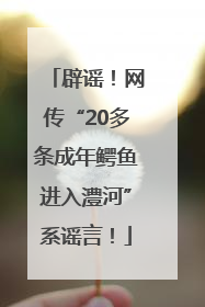 辟谣！网传“20多条成年鳄鱼进入澧河”系谣言！