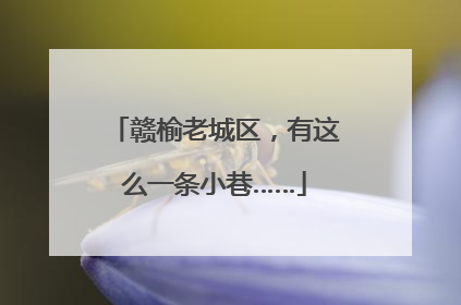 赣榆老城区，有这么一条小巷……