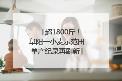 超1800斤！阜阳一小麦示范田单产纪录再刷新
