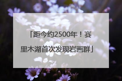 距今约2500年！赛里木湖首次发现岩画群