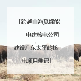 跨越山海觅绿能——电建核电公司建设广东太平岭核电项目侧记