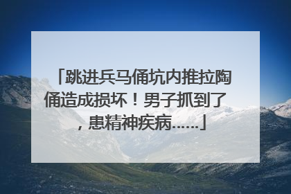 跳进兵马俑坑内推拉陶俑造成损坏！男子抓到了，患精神疾病……