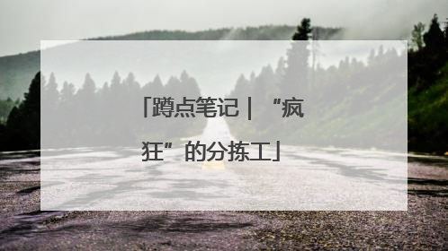 蹲点笔记｜“疯狂”的分拣工