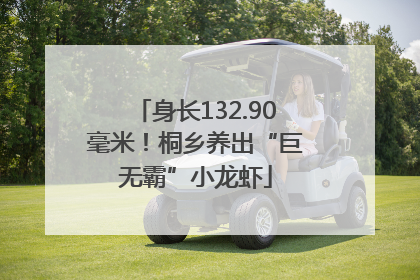 身长132.90毫米！桐乡养出“巨无霸”小龙虾