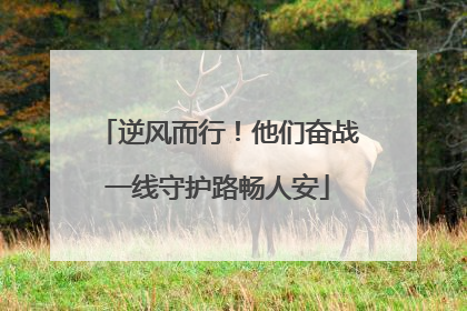 逆风而行！他们奋战一线守护路畅人安