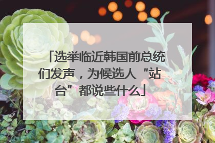 选举临近韩国前总统们发声，为候选人“站台”都说些什么