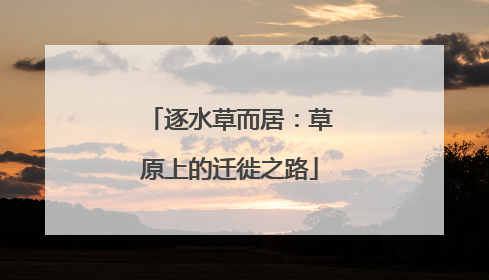逐水草而居：草原上的迁徙之路