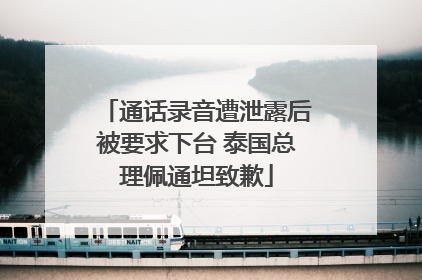 通话录音遭泄露后被要求下台 泰国总理佩通坦致歉