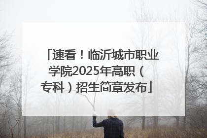 速看！临沂城市职业学院2025年高职（专科）招生简章发布