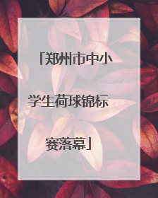郑州市中小学生荷球锦标赛落幕