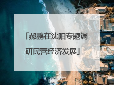 郝鹏在沈阳专题调研民营经济发展