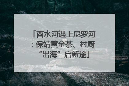 酉水河遇上尼罗河：保靖黄金茶、村厨“出海”启新途