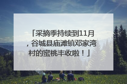 采摘季持续到11月，谷城县庙滩镇邓家湾村的蜜桃丰收啦！