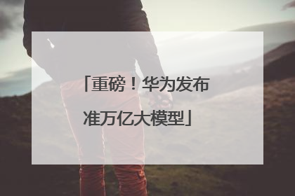 重磅！华为发布准万亿大模型