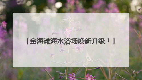 金海滩海水浴场焕新升级！