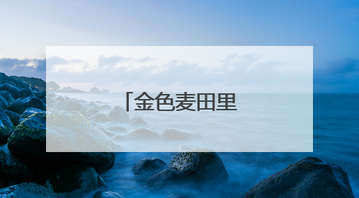 金色麦田里丰收风景