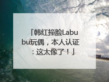 韩红撞脸Labubu玩偶，本人认证：这太像了！