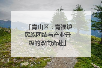 青山区：青福镇民族团结与产业升级的双向奔赴