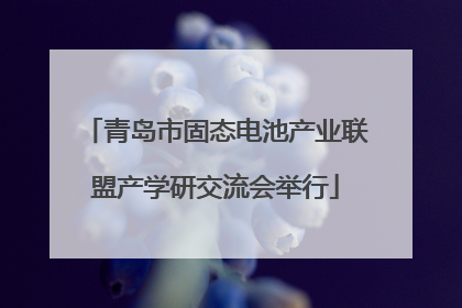 青岛市固态电池产业联盟产学研交流会举行