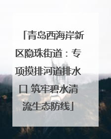 青岛西海岸新区隐珠街道：专项摸排河道排水口 筑牢碧水清流生态防线