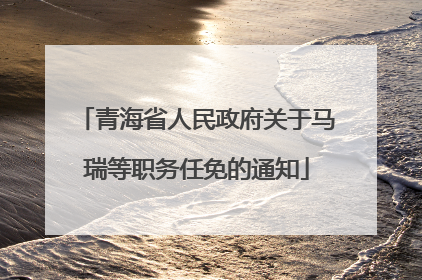 青海省人民政府关于马瑞等职务任免的通知