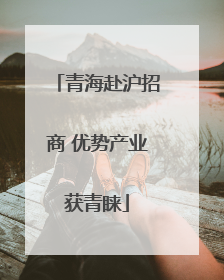青海赴沪招商 优势产业获青睐