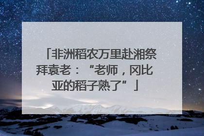 非洲稻农万里赴湘祭拜袁老：“老师，冈比亚的稻子熟了”