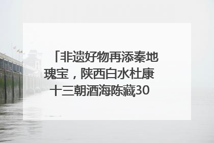 非遗好物再添秦地瑰宝，陕西白水杜康十三朝酒海陈藏30年别具一格
