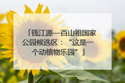 钱江源—百山祖国家公园候选区：“这是一个动植物乐园”