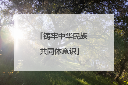 铸牢中华民族共同体意识