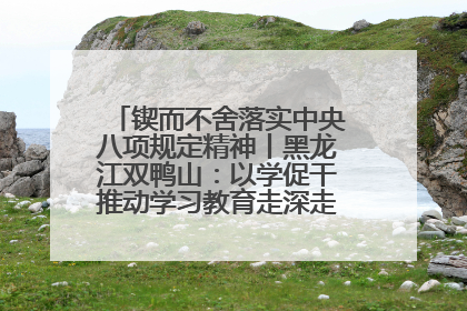 锲而不舍落实中央八项规定精神丨黑龙江双鸭山：以学促干推动学习教育走深走实 从小事入手写好“民生答卷”