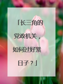 长三角的党政机关，如何过好紧日子？