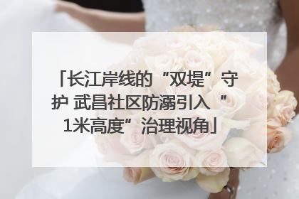 长江岸线的“双堤”守护 武昌社区防溺引入“1米高度”治理视角