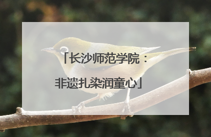 长沙师范学院：非遗扎染润童心
