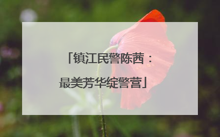 镇江民警陈茜：最美芳华绽警营