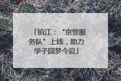 镇江：“京警服务队”上线，助力学子圆梦今夏