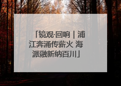 镜观·回响｜浦江奔涌传薪火 海派融新纳百川