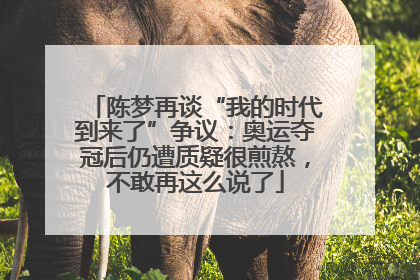 陈梦再谈“我的时代到来了”争议：奥运夺冠后仍遭质疑很煎熬，不敢再这么说了