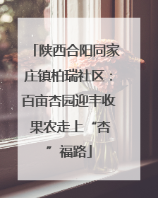 陕西合阳同家庄镇柏瑞社区：百亩杏园迎丰收 果农走上“杏”福路