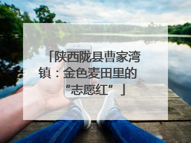 陕西陇县曹家湾镇：金色麦田里的“志愿红”
